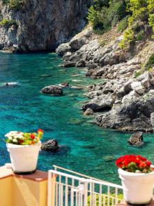 Dos macetas con flores en un balcón con vistas a un río. en Hotel Weber Ambassador, en Capri