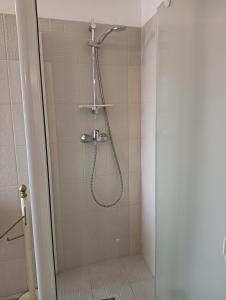 韦尔切利IL Cortiletto的浴室里有淋浴喷头的淋浴