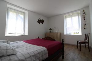 a bedroom with a bed and two windows at Gîte Chez Reine à ÉtivalClairefontaine Vosges Cal in Étival-Clairefontaine