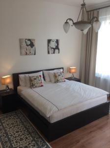 1 dormitorio con 1 cama grande con 2 lámparas y 1 alfombra en Exclusive apartment on Zborovska, en Praga