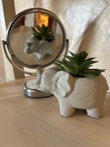 PájaraCasa La Luz的一面镜子前，一只玩具大象抱着一盆植物。