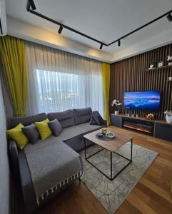 ズラティボールにあるApartmani Balkan Squareのソファとテレビのあるリビングルーム