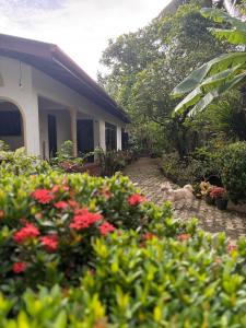 Vườn quanh Serenity Home