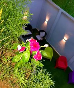 Fotografie z fotogalerie ubytování Résidence touristique marcadal By Mon Rêve2 v destinaci Fort de lʼEau