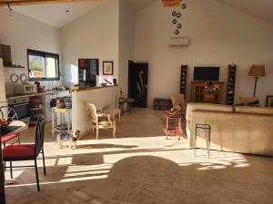 圣皮尔拉菲Viviloue的客厅中有一只猫站在房间中间