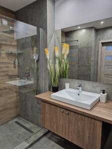 Phòng tắm tại Q Apart Eden