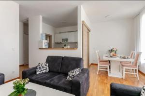 Posezení v ubytování Penthouse Danube Exclusive, Parking, 90m2, Wifi