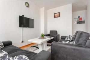 TV a/nebo společenská místnost v ubytování Penthouse Danube Exclusive, Parking, 90m2, Wifi