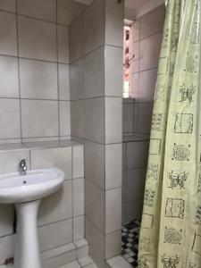 德班Peaceful home in tranquil setting的带水槽和浴帘的浴室