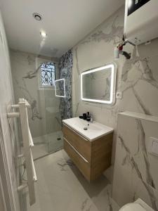 ein Badezimmer mit Waschbecken und Dusche in der Unterkunft Le New Daily, 500m du centre de Dax in Dax