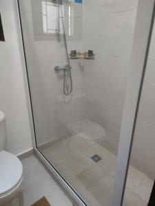 a shower with a glass door next to a toilet at Passadeira Garden in São Tomé