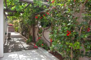 Zahrada ubytování 4 Bedroom Villa with private pool in Lagonisi