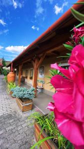 ein Haus mit rosa Blumen davor in der Unterkunft Vadvirág Vendéglő és Fogadó in Tatabánya