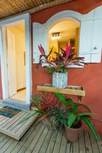 un portico con due piante in vaso su un pavimento in legno di Container Vermelho na beira do rio e a poucos metros do mar com cozinha completo a Belmonte