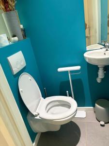 a bathroom with a white toilet and a sink at A 15 min de l'entrée de Bruxelles in Rixensart +3 photos