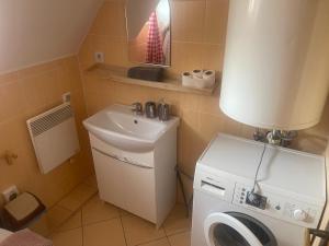 a small bathroom with a sink and a washing machine at Liptovské Drevenice-chaty in Liptovský Mikuláš +42 photos