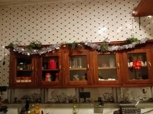 Η κουζίνα ή μικρή κουζίνα στο Kandy Apartment Oak