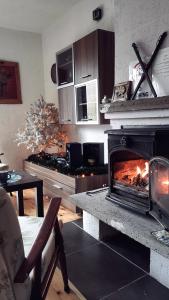 sala de estar con chimenea en medio de una cocina en Jovanov Residence - the Landscape Beauty, en Dolna Matka