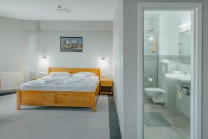um quarto com uma cama e um banheiro com uma pia em Hostel Teleki em Sovata