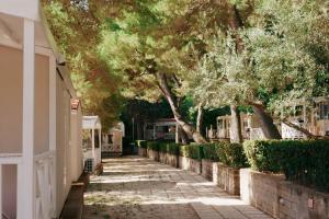a sidewalk with trees and a white fence at Green Garden Village in Sirolo +44 photos