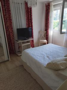 ein Schlafzimmer mit Bett und Flachbildfernseher in der Unterkunft Appartement avec jardin et parking privé in Saint-Gaudens