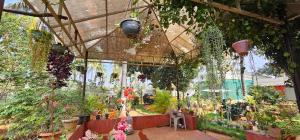 マイソールにあるBhuvi farmsのたくさんの植物や花が揃った園芸センター