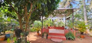 マイソールにあるBhuvi farmsの木の下に赤いベンチのある庭 +27枚の写真