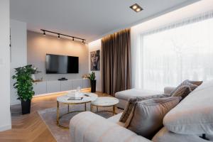 Zamkowy Zakątek - Luksusowe domki z jacuzzi في Nowy Wiśnicz: غرفة معيشة مع أريكة وتلفزيون