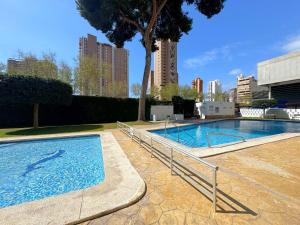 a swimming pool with a dolphin in the water at Albatros 13º in Benidorm
