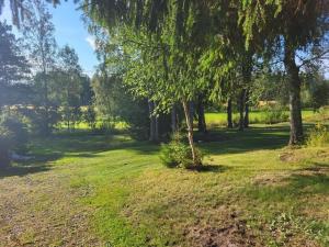 a field of grass with trees in the background at Landhaus Måsberget in Kristinehamn