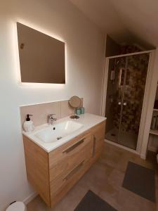 un bagno con lavandino e doccia di Le 5 ter - Cozy, quiet accommodation a Baud