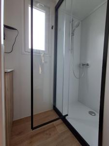 une salle de bain avec une douche avec une porte vitrée dans l'établissement Suite Hôtel, à Le Temple-sur-Lot