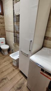 baño pequeño con nevera y aseo en Vila na Rtnju, en Rtanj 52 fotos más