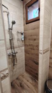 una ducha con puerta de cristal en un baño en Vila na Rtnju, en Rtanj