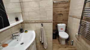 a bathroom with a sink and a toilet at Vila na Rtnju in Rtanj +44 photos