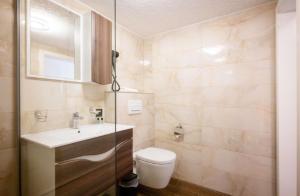 a bathroom with a toilet and a sink and a shower at Ferienwohnung Mimosa 302 in Wiggensbach