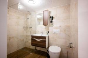 a bathroom with a toilet and a sink and a shower at Ferienwohnung Mimosa 302 in Wiggensbach