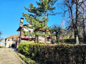 Una casa vieja con un árbol delante. en Vila na Rtnju, en Rtanj