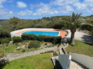 una piscina in un cortile con una palma di Gerry&Lotti Apartment a Son Bou