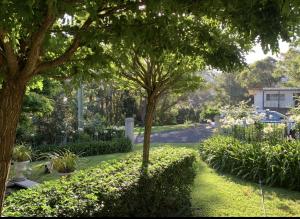 a garden with flowers and trees and a street at Wollongong Tiny Home in Coniston