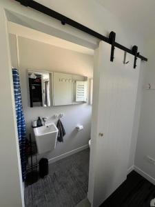 a bathroom with a sink and a mirror at Wollongong Tiny Home in Coniston