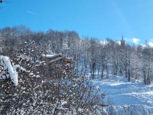 eine Blockhütte im Schnee mit Bäumen in der Unterkunft Le Cochet by Lodji in Saint-Martin-de-Belleville