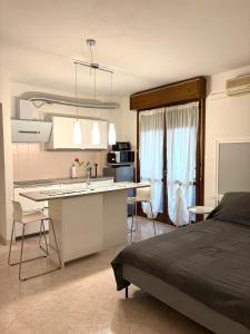 Kuchyň nebo kuchyňský kout v ubytování Mono Camelia