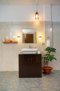 a bathroom with a sink and a mirror and a potted plant at amã Stays & Trails - Diffloo Bungalow, Assam in Bokākhāt