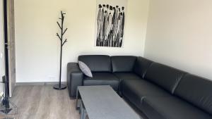 Posezení v ubytování Laumiņas