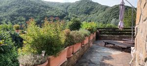 Monastero BormidaCasa Greta - Ca di Buie的庭院里种有长凳和盆栽植物