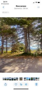 a screenshot of a picture of a forest of trees at Relax House in Roccaraso