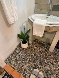 a bathroom with a sink and a potted plant at Rural stay Baan mea pen in Ban Pang Mung +38 photos