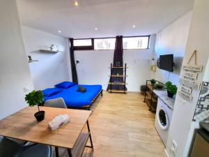 Μια τηλεόραση ή/και κέντρο ψυχαγωγίας στο Studio avec terrasse