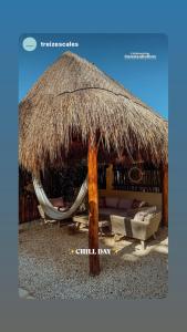 Φωτογραφία από το άλμπουμ του Island Escape for Groups Hosted by Atenea Holbox σε Holbox Island